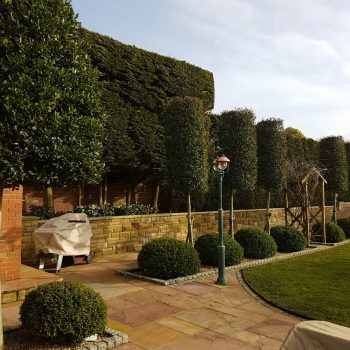 commercial gardening and domestic gardening in Southport
