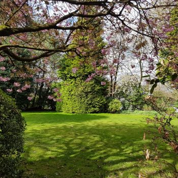 commercial gardening and domestic gardening in Southport