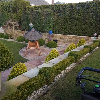 commercial gardening and domestic gardening in Southport