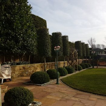 commercial gardening and domestic gardening in Southport