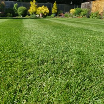 commercial gardening and domestic gardening in Southport