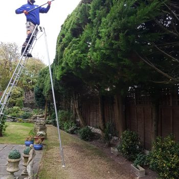 commercial gardening and domestic gardening in Southport